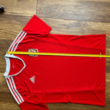 2016-17 Wales home football shirt adidas - L